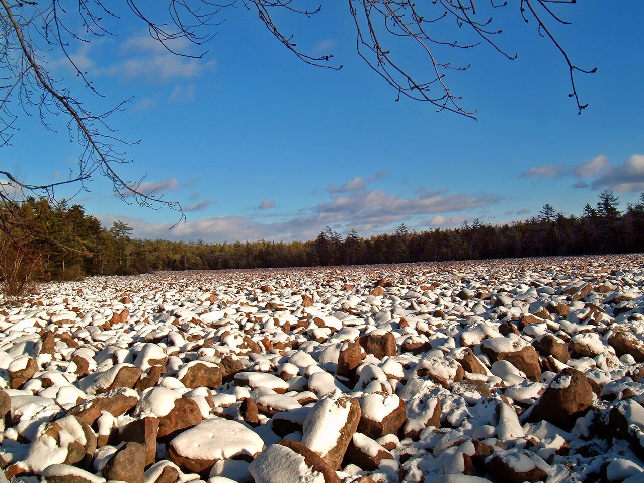 Hickory Run Boulder Field