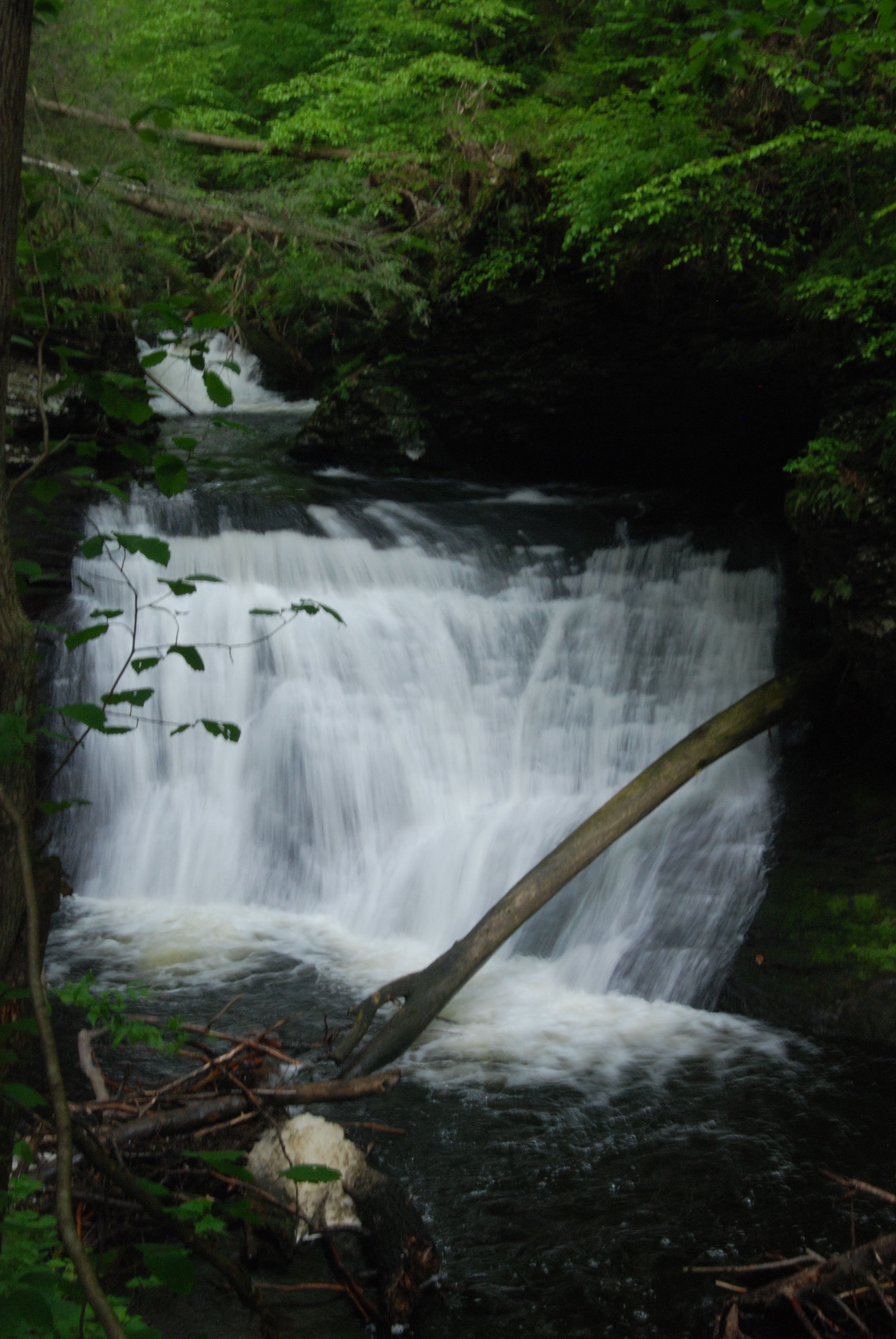Hornbecks Creek / Indian Ladders