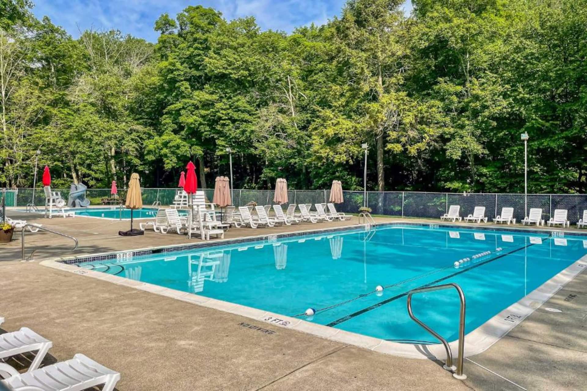 Two Olympic-Size Pools