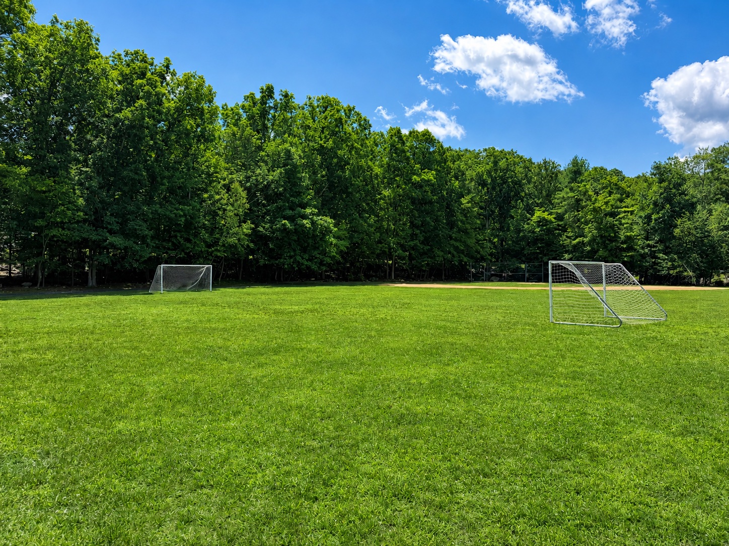 Soccer Field