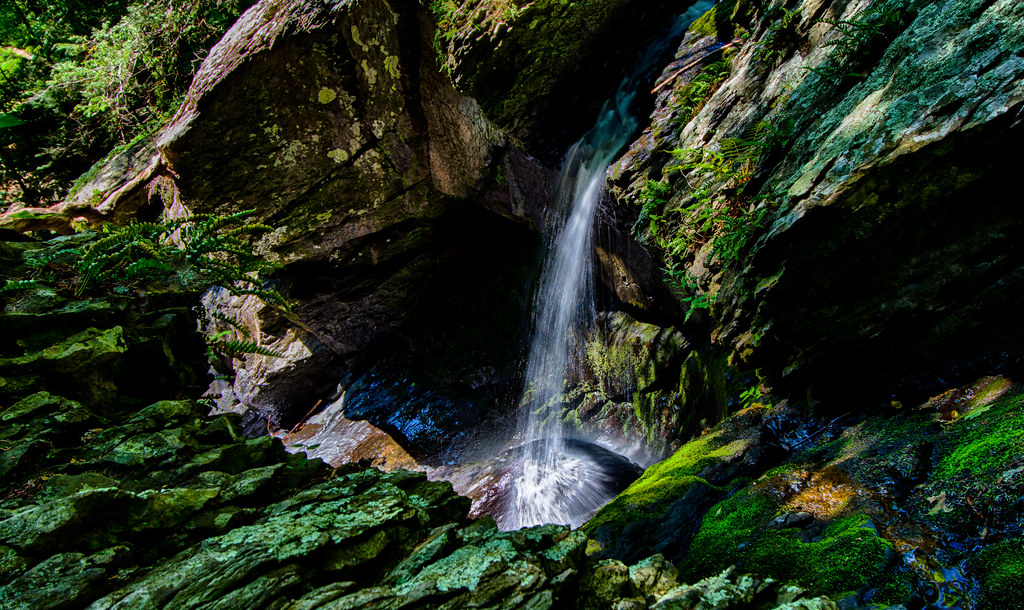 Pocono Environmental Education Center