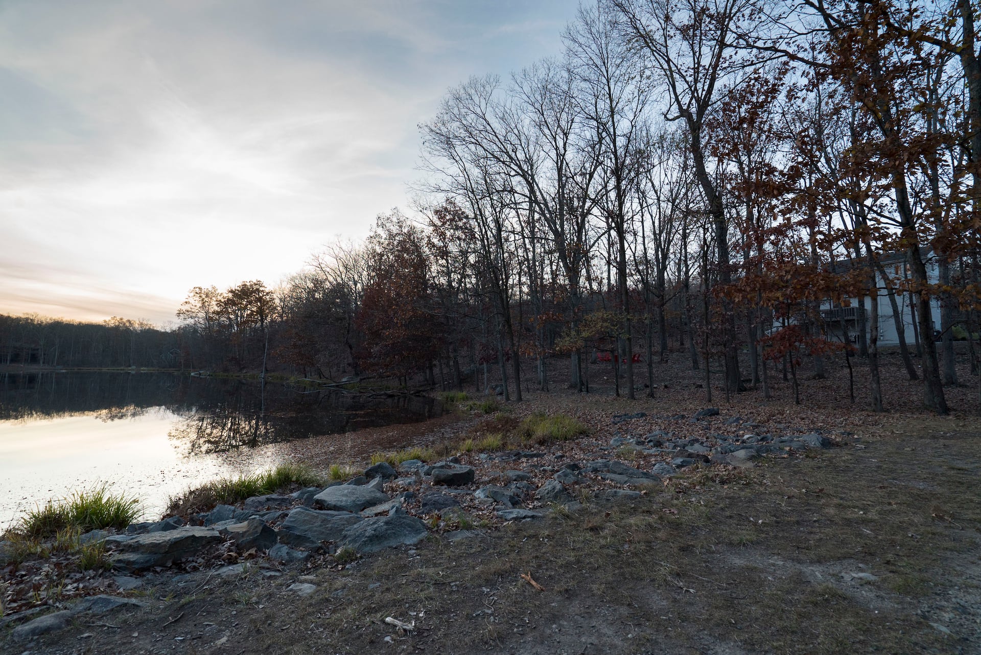 Lake view