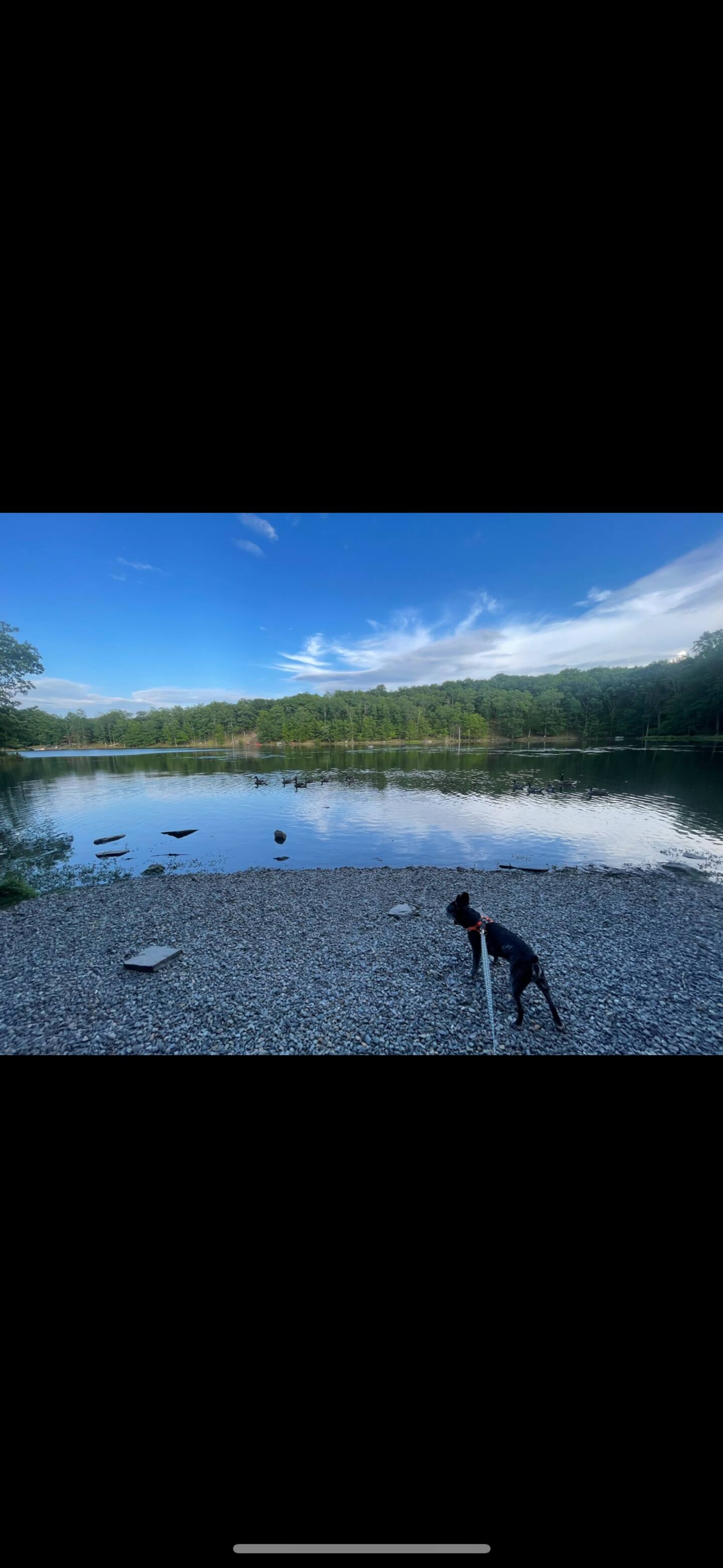 Lake view